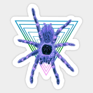 Tarantula “Vaporwave” Triangle V27 (Invert) Sticker